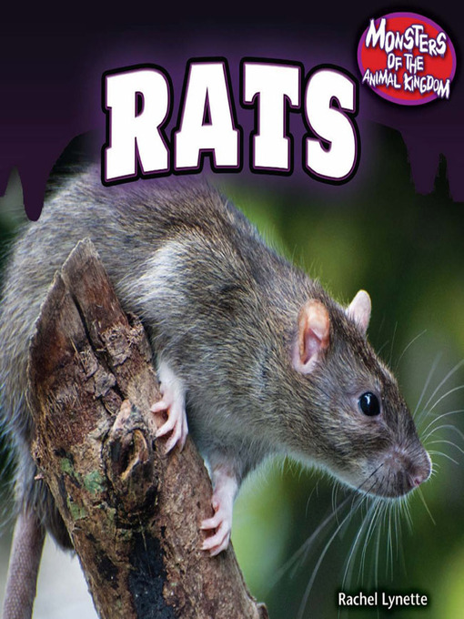 Title details for Rats by Rachel Lynette - Available